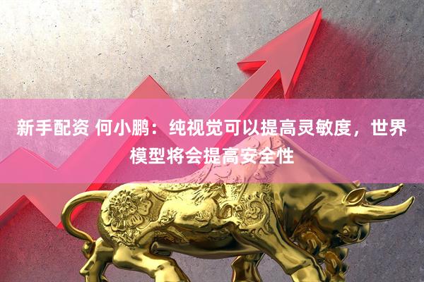 新手配资 何小鹏：纯视觉可以提高灵敏度，世界模型将会提高安全性